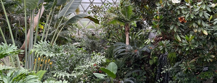 Bloedel Floral Conservatory is one of Mt Pleasant & Riley Park Neighbourhoods.