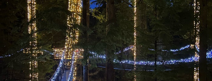Capilano Treetop Adventure is one of Places to Visit in Vancouver, BC.