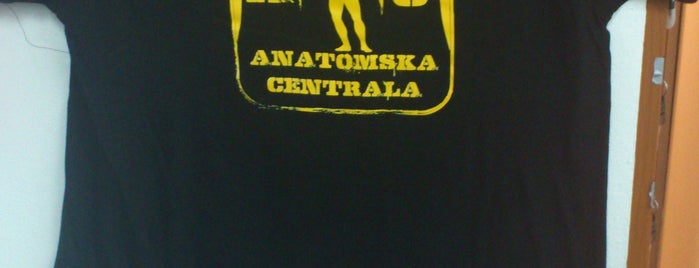 Anatomska Centrala is one of Zagreb Amerika u malom!.
