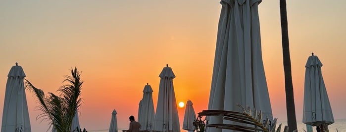 Nikki Beach Club is one of Serkan’s Dubai.