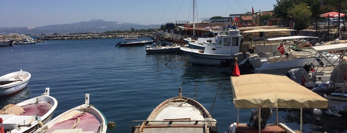 Liman Cafe is one of Lugares favoritos de Hüseyin.