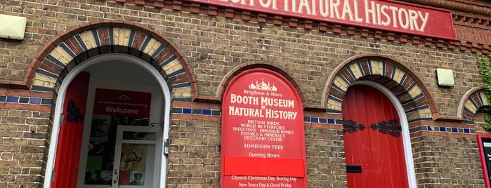Booth Museum of Natural History is one of Chery San'ın Beğendiği Mekanlar.