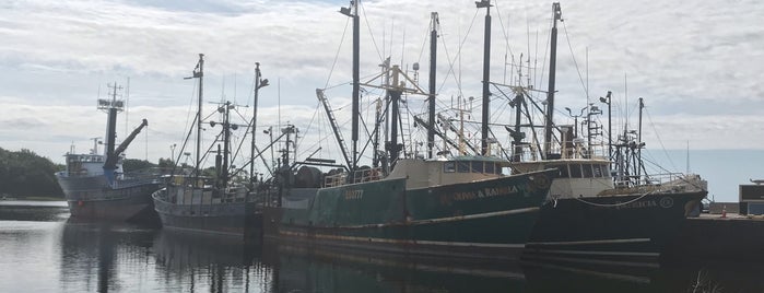 Kyler's Catch Seafood Market is one of Stores/Retail.