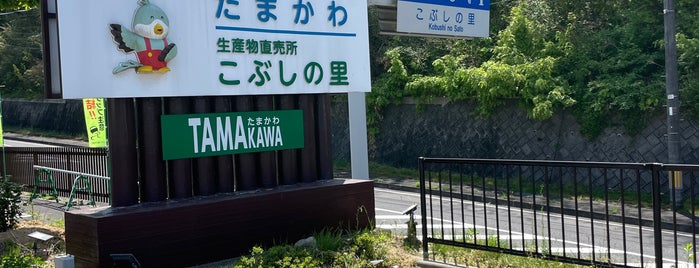 道の駅 たまかわ is one of 訪問した道の駅.