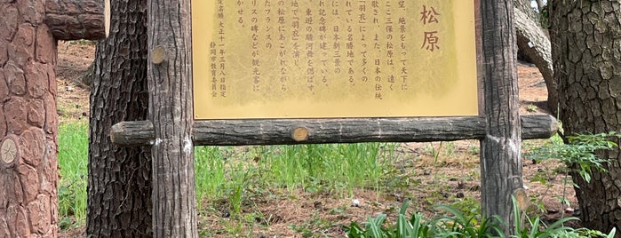 三保の松原 is one of Fujisan, Jp.