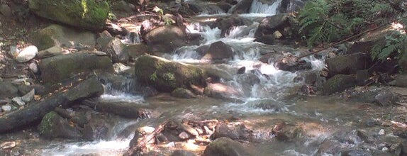 Smolarski Vodopadi / Smolare Waterfalls is one of Lieux qui ont plu à Pavlos.