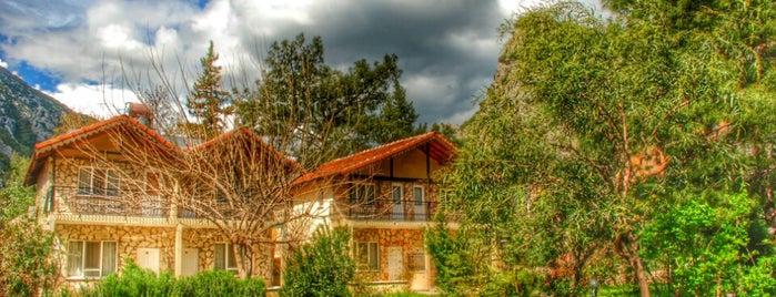 Dionysos Lodge is one of Olimpos-Çıralı / Karma Öneri.