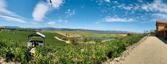 Viansa Winery is one of Guide to San Francisco.