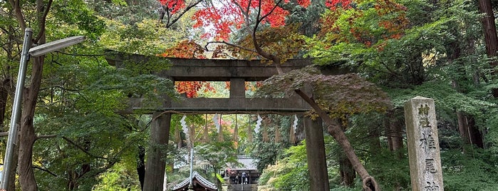 椎尾神社 is one of 「ふら～り鎮守」シリーズ.