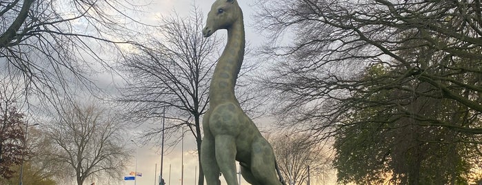 Giraf in park (Tuin der Lusten) is one of 's-Hertogenbosch.