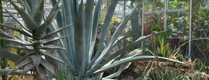 Oak Park Conservatory is one of nature in the city.