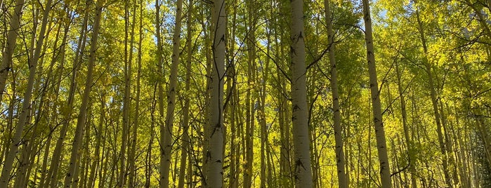 Maroon Bells Scenic Hiking Trail is one of Aspen.