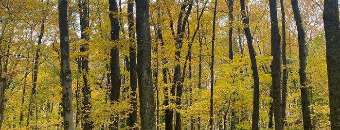 Fairfield Hills is one of Hiking.