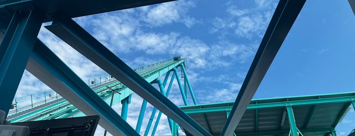 Leviathan is one of Stevenson's Favorite Roller Coasters.