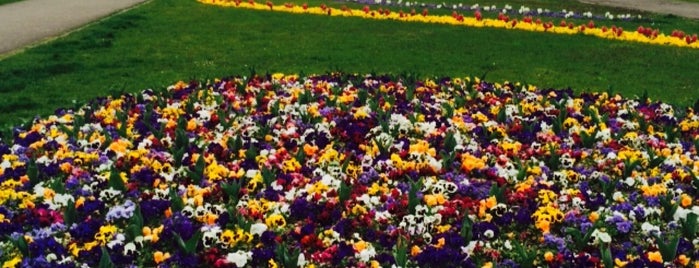 Parcul Botanic is one of Timisoara plazas and parks.