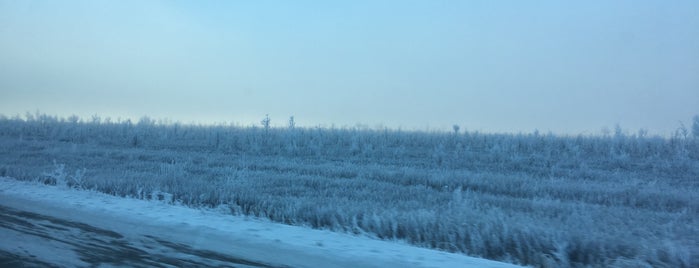 Matanuska River Bridge is one of Posti che sono piaciuti a Dennis.