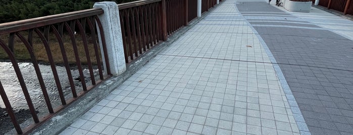 旧秩父橋 is one of Takuma : понравившиеся места.