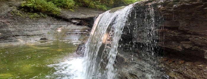 Wintergreen Gorge is one of Iconic Erie and Erie County.