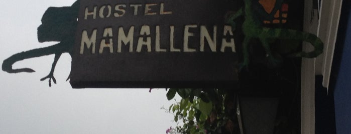 Mamallena is one of Cartagena and tayrona (santa marta).
