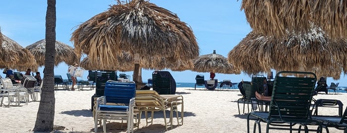 Eagle Beach is one of Aruba 🏝️🦩.