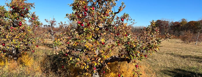 Wasem Fruit Farm is one of Close to home.