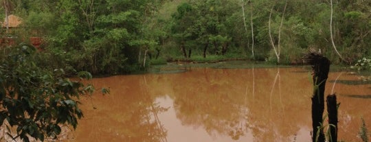 Iguazu Forest is one of Litoral (AR).