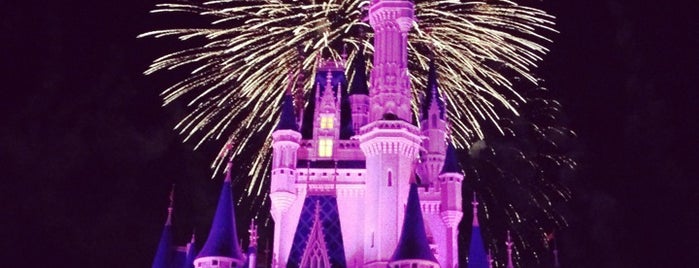 Cinderella Castle is one of สถานที่ที่ Carl ถูกใจ.