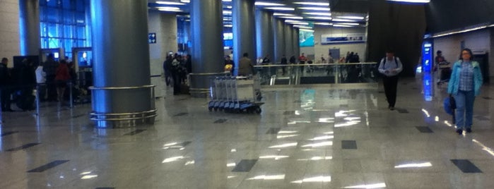 Arrival Hall is one of VKO.