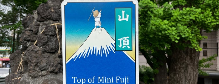 千駄ヶ谷の富士塚 is one of 山と高原.