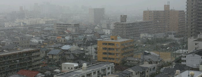 高松市 is one of 中四国の市区町村.