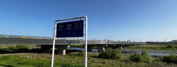 東名高速道路 多摩川橋 is one of 多摩川.