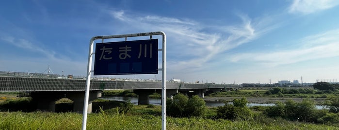東名高速道路 多摩川橋 is one of 多摩川.