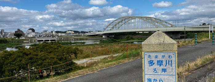 多摩川 左岸 海から23km is one of ランドヌ東京.