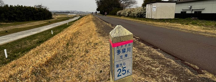 多摩川左岸 海から25Km is one of 多摩川.