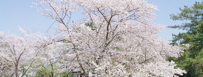 滝宮公園 is one of 紅梅と水仙、清流…そしてさぬきうどん発祥のまち、綾川町.