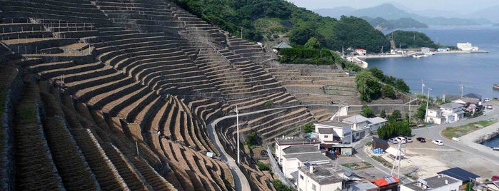 国重要文化的景観 遊子水荷浦の段畑 is one of 四国遍路 ちょっと寄り道.