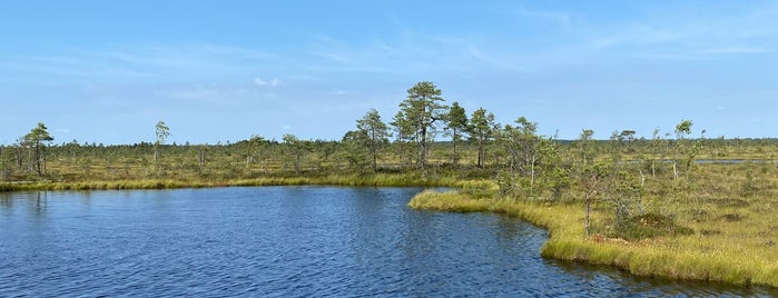 Ingatsi Nature Trail is one of Camping and Hiking in Estonia.