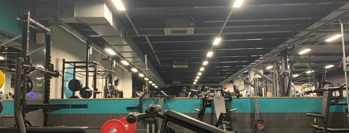 PureGym is one of Lieux qui ont plu à Volodymyr.