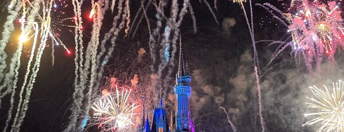 Walt Disney: Marceline to Magic Kingdom Tour is one of Beyond the Parks & Tours.