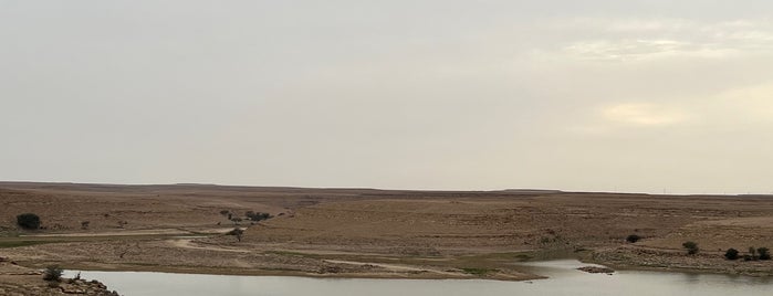 Salbukh Dam “سد صلبوخ” is one of To go in Riyadh.
