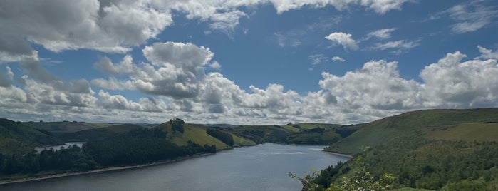 Llyn Clywedog is one of The Futurists.