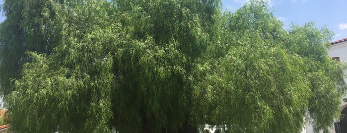The Oldest Pepper Tree in California is one of Tempat yang Disukai Jordan.