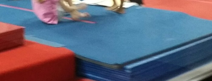 ASI Gymnastics is one of Guide to Dallas's best spots.