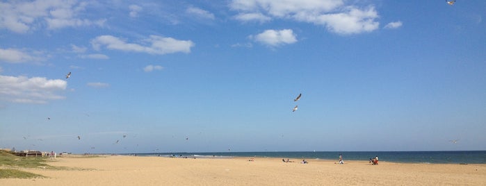 Playa del Altair is one of Playeo.