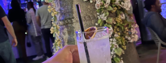 Secret Garden is one of Houston Cocktail Bars.