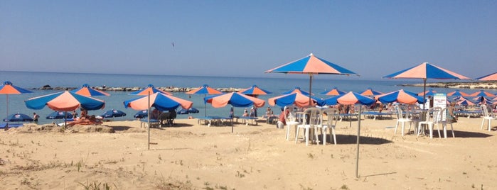 Coralia Beach is one of Posti che sono piaciuti a Jus.