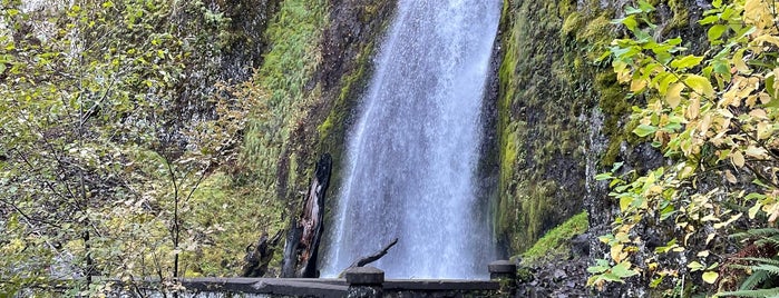 Wahkeena Falls is one of Oregon.