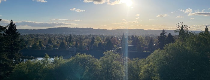 Mt. Tabor Park is one of PDX.