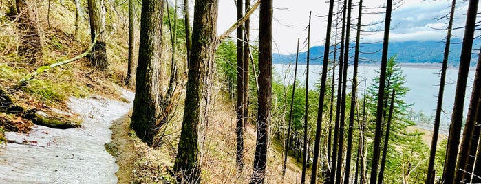 Oneonta Trail is one of Best of Hood River/Columbia Gorge.