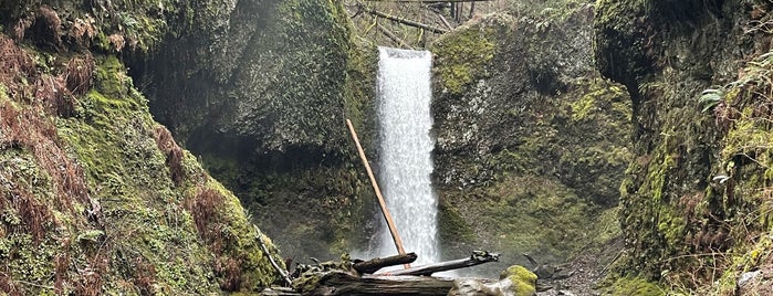 Weisendanger Falls is one of Portland.